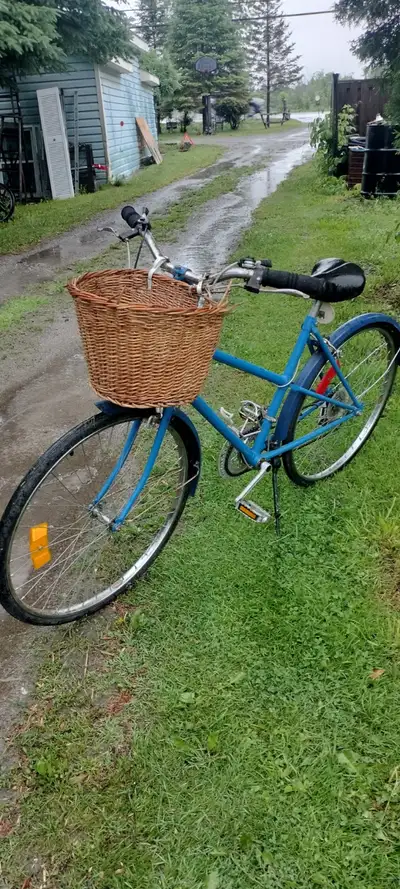Beautiful Cruiser Bicycle, View more