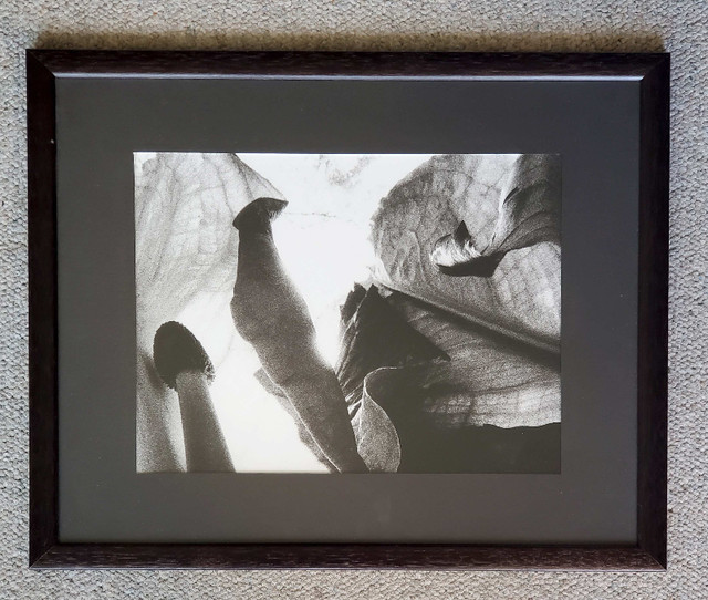 DC Star Wars scenery framed pictures in Arts & Collectibles in Kelowna - Image 2