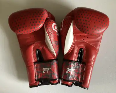 PRICE DROP! Red 10oz AGILE Leather Boxing & Martial Arts Gloves, View more