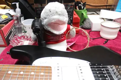 Guitar strings and accessories for sale at FSSS, View more