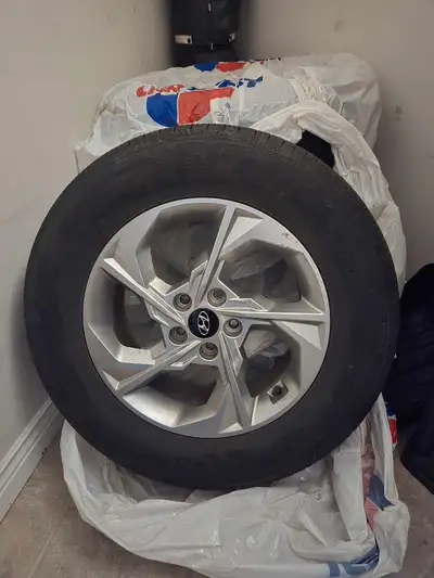 All season 4 tires & 4rims 235x65x17R.(Nexen) 10.000km drove only. Please ask Chat massage only