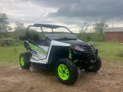 2017 Wildcat Trail Limited Power steering Bluetooth stereo Half doors 1/4 windshield 4x4 $8950 30655...