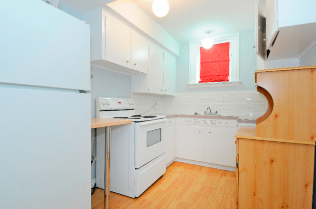 1 Bedroom Basement Apartment in New Edinburgh in Long Term Rentals in Ottawa - Image 4