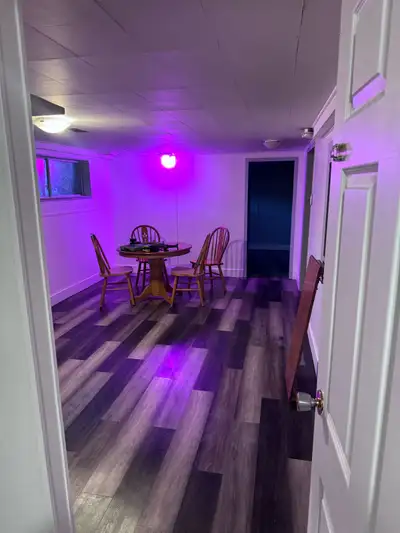 Pet friendly, single bedroom basement suite rental in castlegar