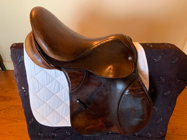 5 well-maintained used English saddles at a very low price! in Equestrian & Livestock Accessories in Peterborough - Image 4