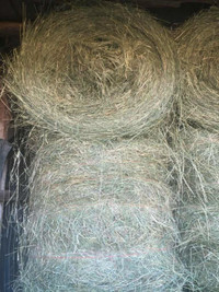 Mixed Grass Hay