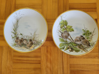 vintage wall mount fine porcelain plates