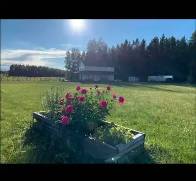 $420/ night Weekly and monthly discounts Vacation Rental Sleeps 5 Pet friendly Near Alder Flats AB S...