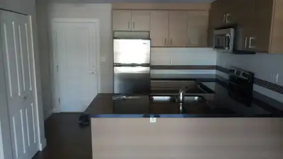 Cozy one-bedroom , one-bathroom apartment located in the heart of Pitt Meadows, featuring stunning m...