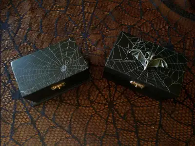 Real Preserved Spiderweb Wood Boxes, View more