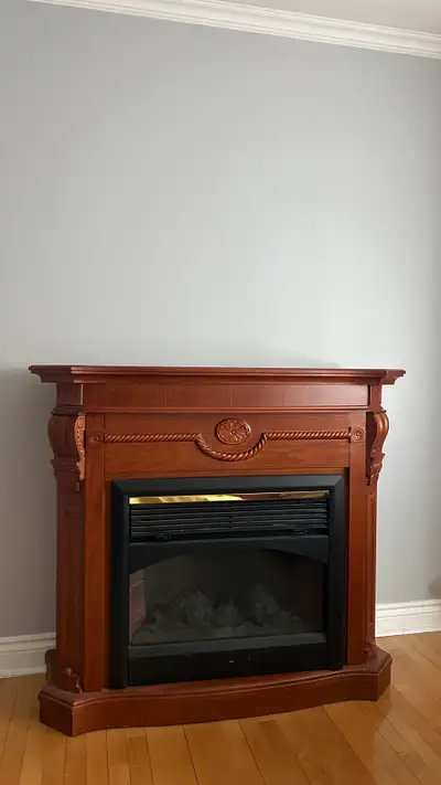 J'offre un foyer électrique avec une finition en bois classique qui ajoutera une touche chaleureuse...
