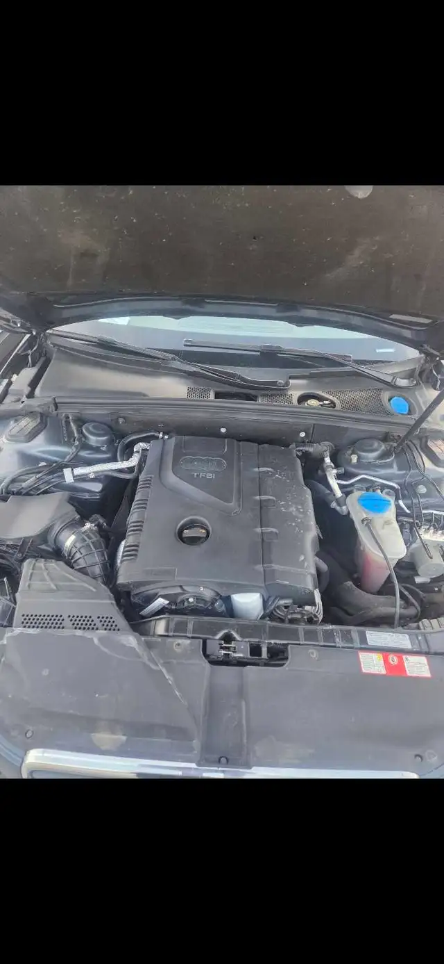 2009 Audi A4497220244420044804