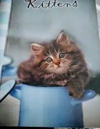 Kitten  - Greeting Card  Organiser