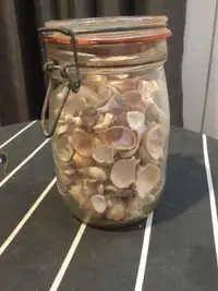 Jar of Seashells from the Caribbean