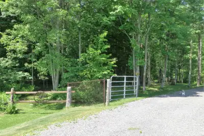 Beautiful irregular lot with gated entrance, 200 ft gravel driveway with turn around, 1.5 acres gras...