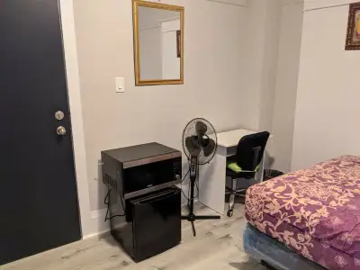 Furnished room (male), Dundas/College Station, TMU, Aug 1