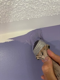 HOUSE CONDO PAINTER Mississauga / Peel Region Toronto (GTA) Preview
