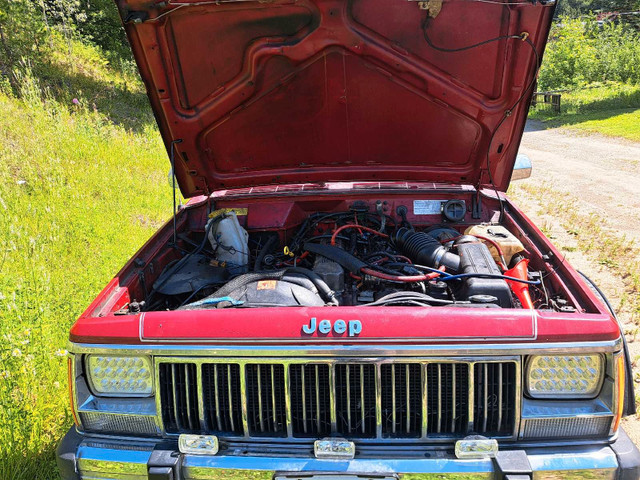 1989 jeep cherokee in Cars & Trucks in Prince George - Image 3
