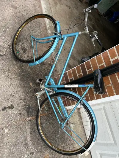 34 ads for raleigh vintage bicycle in Bikes in Ontario | Kijiji