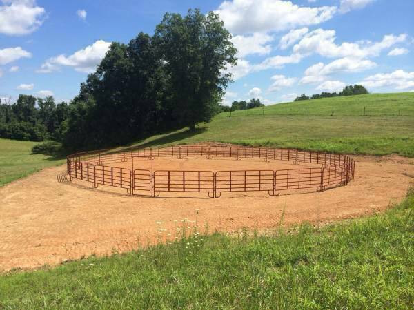 CORRAL AND ROUND PEN PANELS*STRONG W/EXTRA BRACES*FARM GATES* in Equestrian & Livestock Accessories in London - Image 2