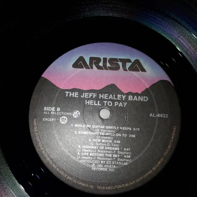 The Jeff Healey Band Hell to Pay Lp. 199063010223527939123