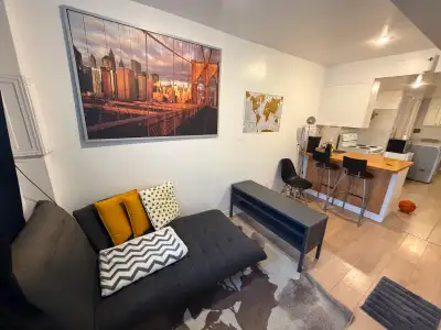 31/2 près du Métro Assomption Montréal, sous-sol Bel appartement très lumineux, disponible le 1er ma...