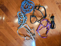 Equestrian Assorted Halters and Leads