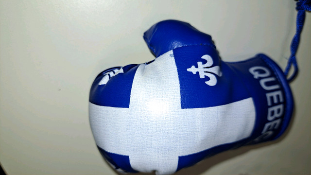 NEW - mini Quebec Boxing Gloves in Other in Oakville / Halton Region - Image 4