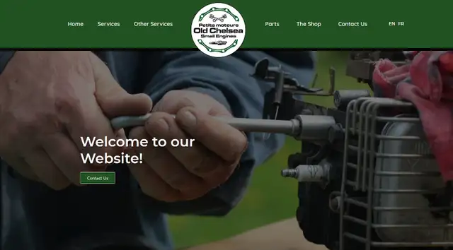 High Quality Web Design / WordPress / Mobile Optimized / Logos462341824599173123