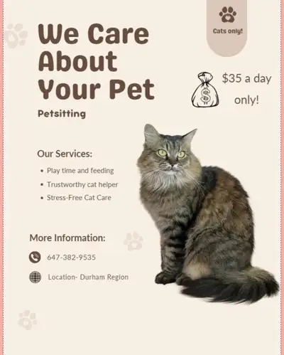 catsitting cheap price, View more