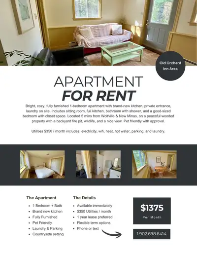 1 year lease preferred, shorter fixed term is an option. Flexible terms for the right tenant, please...