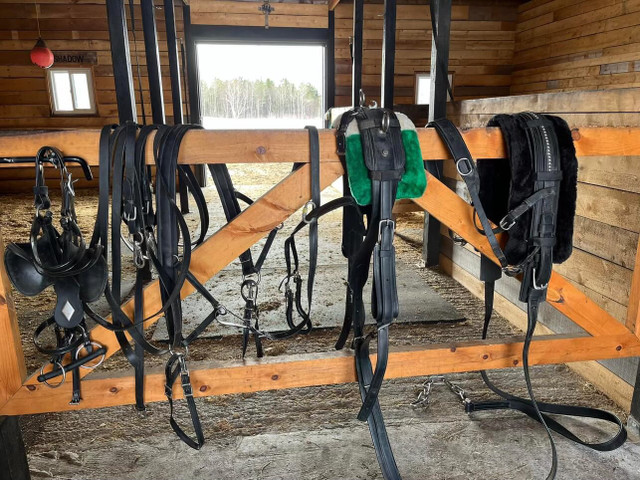 Attelage à bricole dans Accessoires pour bétails et chevaux  à Sept-Îles - Image 2