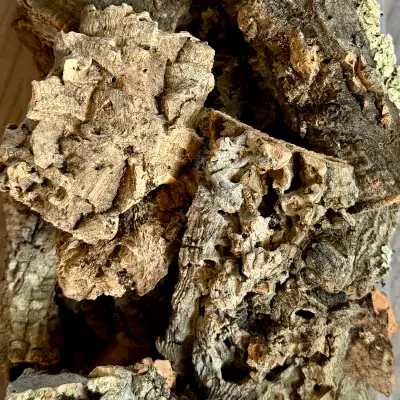 Cork Bark Flat, View more
