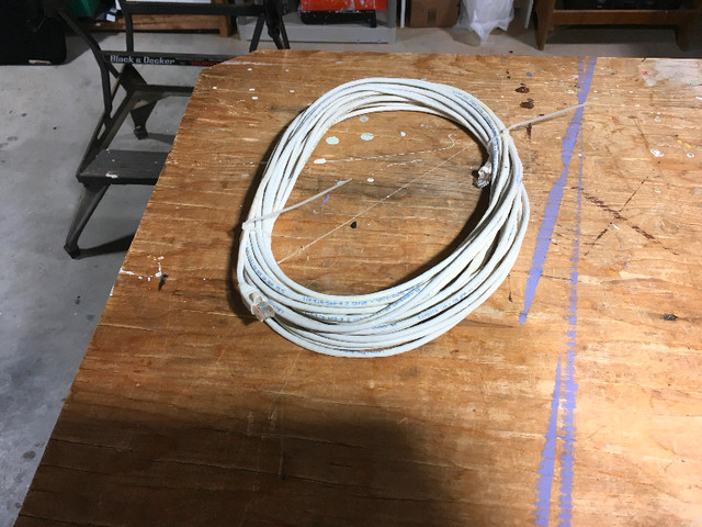 Ethernet cable 100ft in Cables & Connectors in Kingston - Image 2