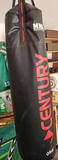 Punching bag for sale