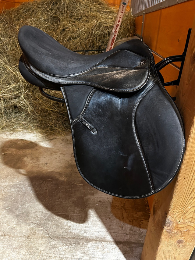 17” Throwgood Griffin All Purpose English Saddle in Equestrian & Livestock Accessories in Sudbury