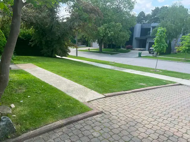 Professional Lawn Mowing/Grass cutting Services in Lawn, Tree Maintenance & Eavestrough in City of Toronto - Image 8