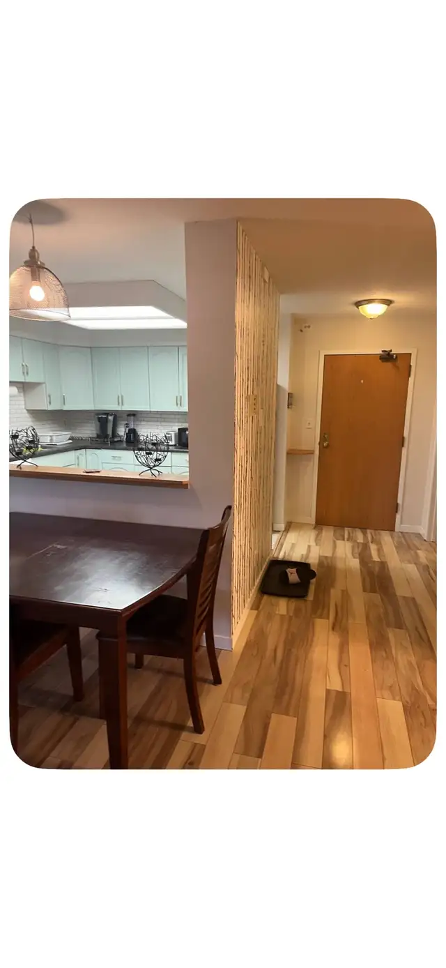Downtown 1 Bedroom Condo for Rent for Dec 1 | Long Term Rentals ...