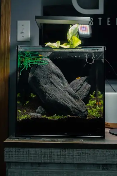 UNS 30A Aquarium , View more