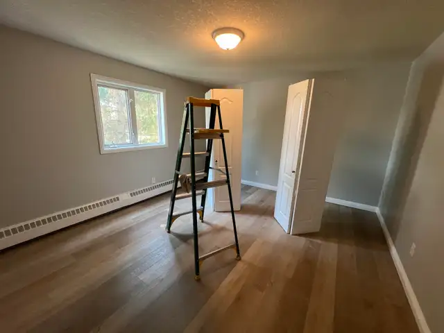 Professional Interior Painter590081416757913603