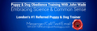 Puppy and Dog Obedience Training with John Wade