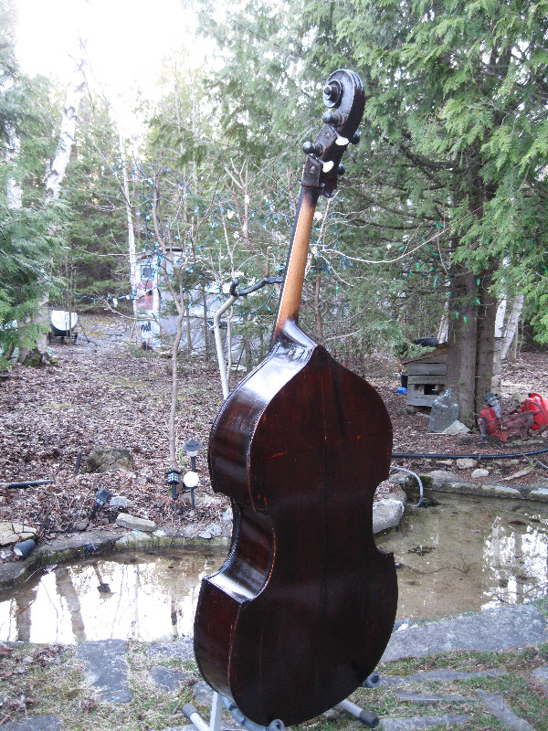 Double Bass 1800s carved in String in Owen Sound - Image 3