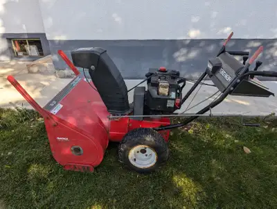 10 Horsepower 30 inch cut