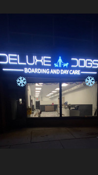 Dog Boarding And Daycare 24/7 860 Pape Ave. East York M4K 3T8