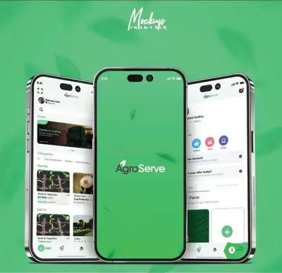 Graphic Design, UI/UX & Video Editing Services, View more