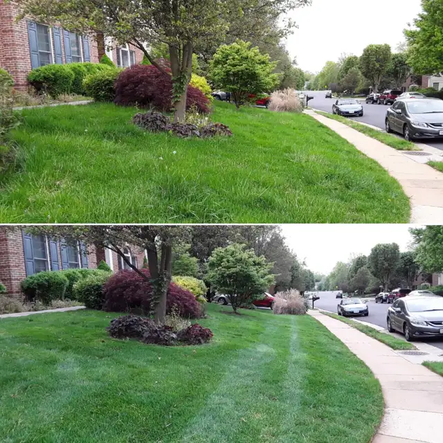 Grass cutting & Lawn Care  – Reliable, Affordable, Local!62864357994242122