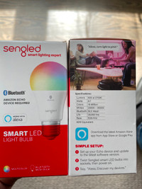 Smart LED Light Bulbs