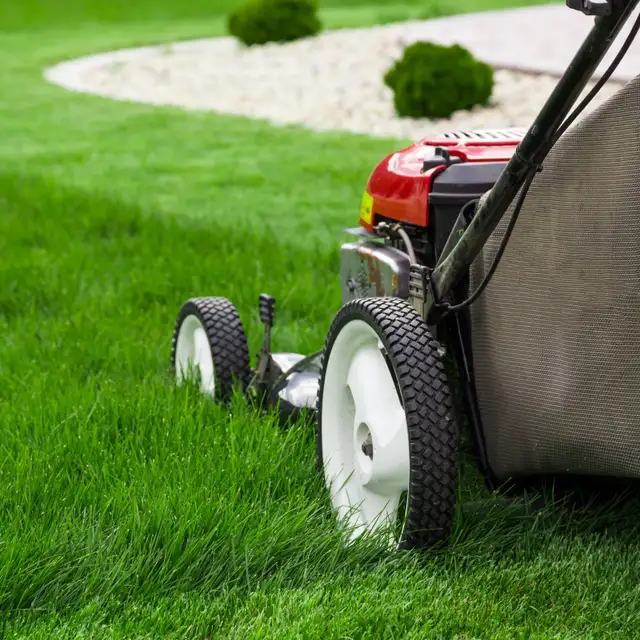  Lawn mowing480461485298176000