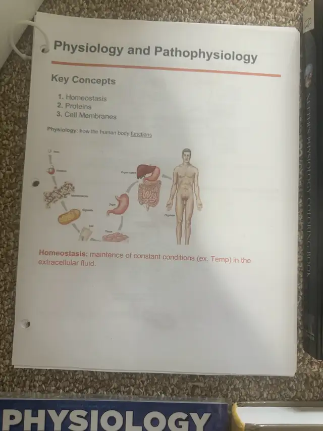 new human physiology textbook bundle deal $80 in Textbooks in Edmonton - Image 5