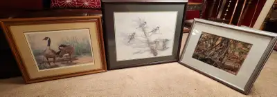 2 Beautiful Wildlife Bird Pictures - Read Description, View more